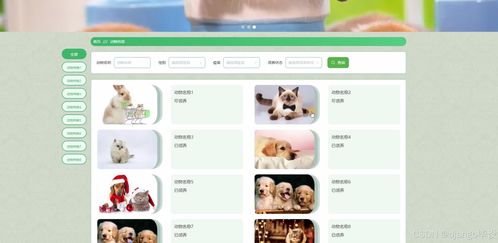 計(jì)算機(jī)畢業(yè)設(shè)計(jì)django vue冠鵬公司動(dòng)物保護(hù)協(xié)會(huì)網(wǎng)站系統(tǒng)